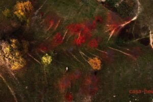 3 dji_fly_20221026_171818_923_1666812787325_aeb ALT