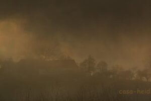 DSC_5289 a